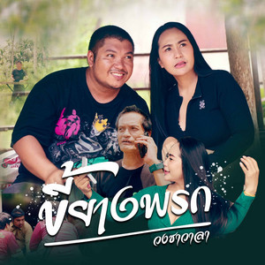 วงชาวาลา - ขี้ยางพรก