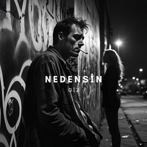 GİZ - Nedensin