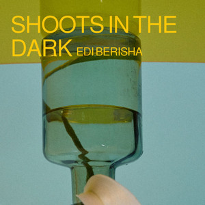 Shoots on the dark by Edi Berisha