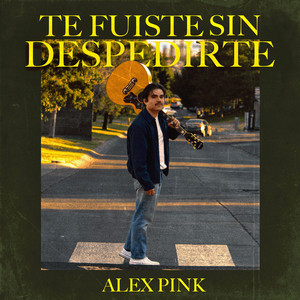 Te fuiste sin despedirte by Alex Pink