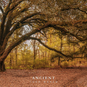 Ancient by Theo Maren
