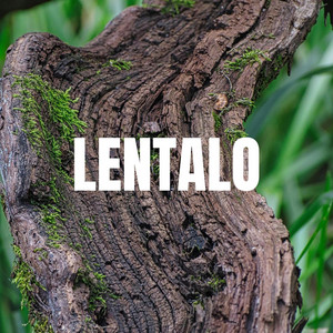 LENTALO by LOKASO
