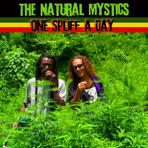 One Spliff a Day