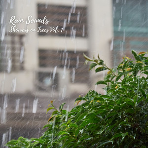 Rain Sounds: Showers on Trees Vol. 1 album