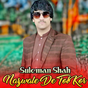 Suleman Shah Watan Dost - Nazawale De Tol Kor