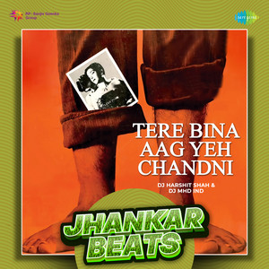 Lata Mangeshkar, Shankar - Jaikishan & Shailendra - Tere Bina Aag Yeh Chandni (Jhankar Beats)