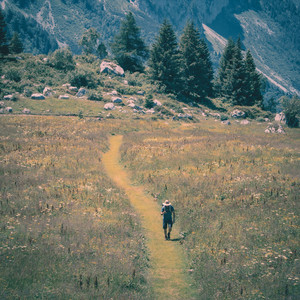 a morning hike by ryan nick