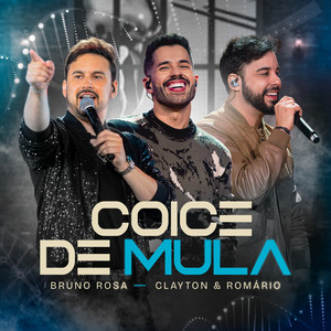 Coice de Mula (Ao Vivo)