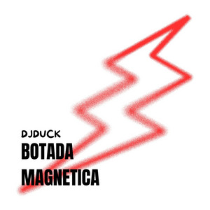 BOTADA MAGNETICA
