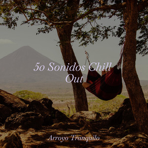 50 Sonidos Chill Out