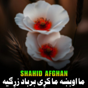 Shahid Afghan - دزړونو غل وختی و ابن عمر جانانه