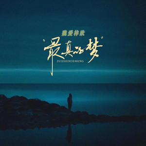 魏爱梓欣 - 最真的梦(合唱版)
