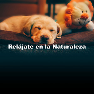 Relájate en la Naturaleza