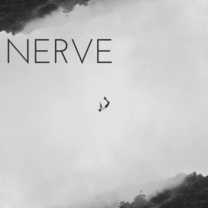 Nerve