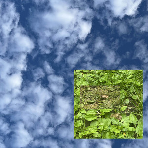 mystery man - chemicals