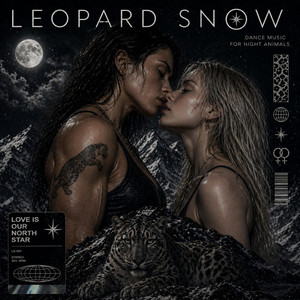Caught Her Eye by Leopard Snow