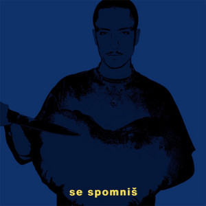 se spomniš by de vu