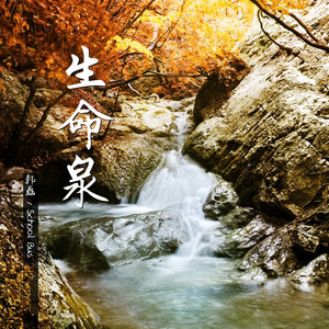 生命泉 by 韩磊, School Bus