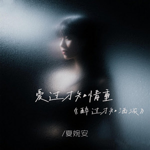 爱过才知情重（醉过才知酒浓） - DJ名龙版 by 夏婉安, DJ名龙