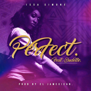 Portada de Perfect