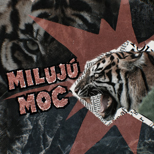 milujú moc by N0X, Phadak