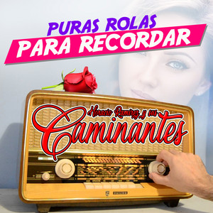 Horacio Ramirez y Sus Caminantes - Teresita