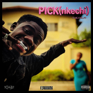 PICK(Nkechi) by SHEAMUX