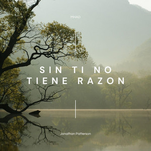 Sin Ti No Tiene Razon by Naiell
