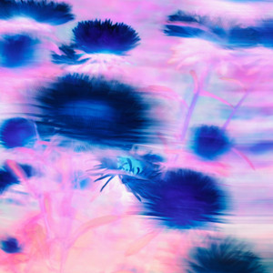 Bolero by mëow mëow