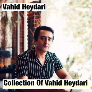 Vahid Heydari - Sayad Del Besoze