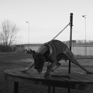 I Don't Know How to Say It by Grasher