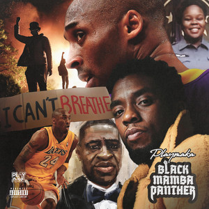 Playmaka - Black Mamba Panther (Radio Edit)