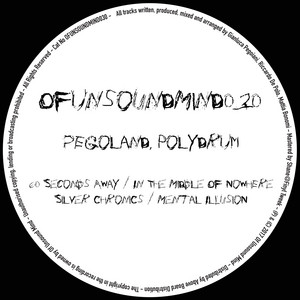 POLYDRUM cover