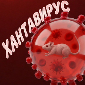 ХАНТАВИРУС by ReOStu, DJ DANYLKO, DJ MIHUYCHIK, Rob0miS