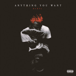 Anything You Want by Bcb 5L