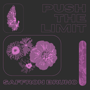 Push The Limit by Saffron Bruno