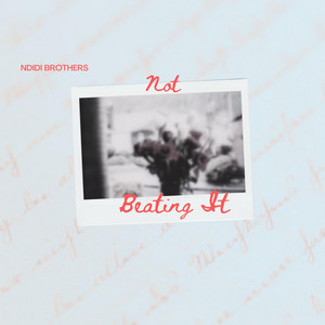 Not Beating It by Ndidi Brothers