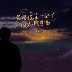 你是我这一辈子最大的遗憾 by 刘大壮