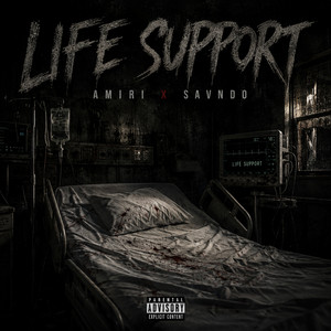 Life Support by Sav NDO, Amiri