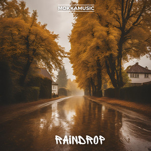 MokkaMusic - Raindrop