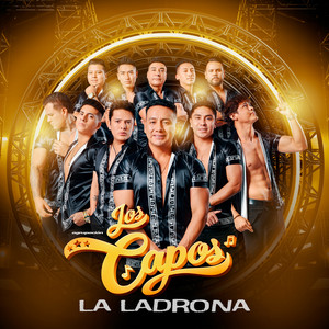 Agrupación Los Capos - La Ladrona