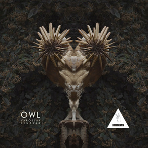 Yaroslav Lenzyak — Owl
