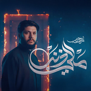 مرتضى حرب - مالي ذنب
