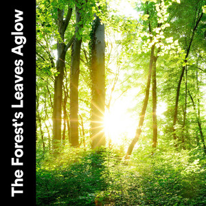 The Forest's Leaves Aglow album