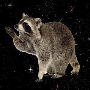 Space Raccoon by Spaceman Bob