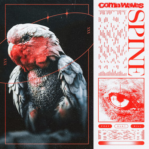Spine by Coma Waves