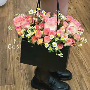 Ces by 辉sir