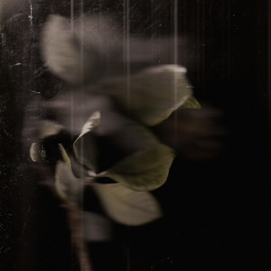 Perpetual Mornings by Spirituals
