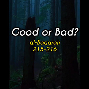 2, Surah Al-Baqarah: 215-216 by mylordtakemeaway