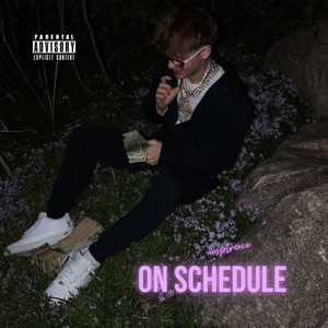 On Schedule by wsptreece